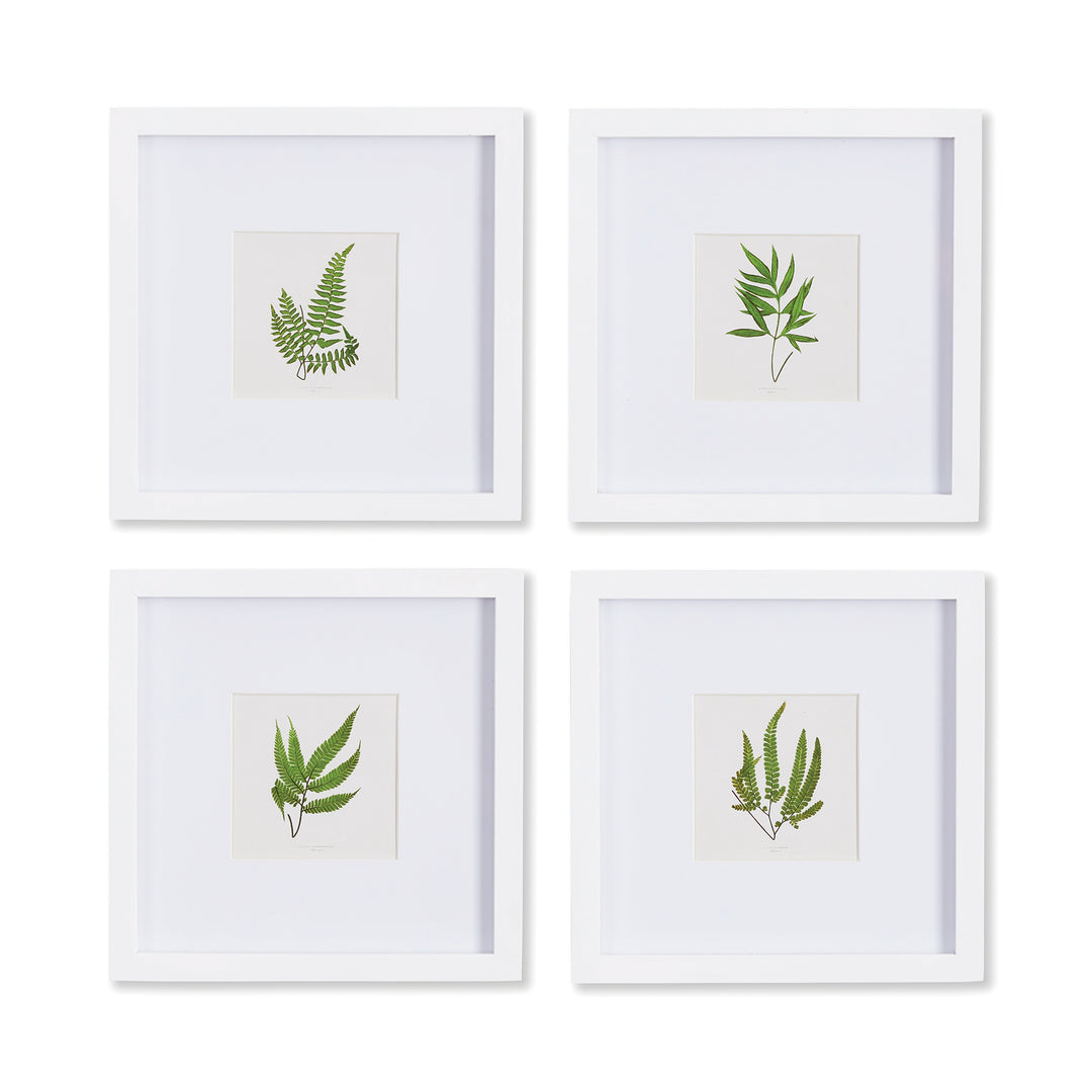 Forest Greenery Petite Prints, Set Of 4