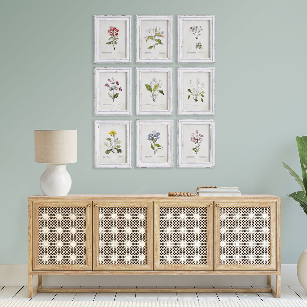 Garden Meadow Study Wall Prints, Set Of 9