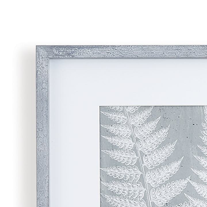 Fern Frond Wall Prints, Set Of 3