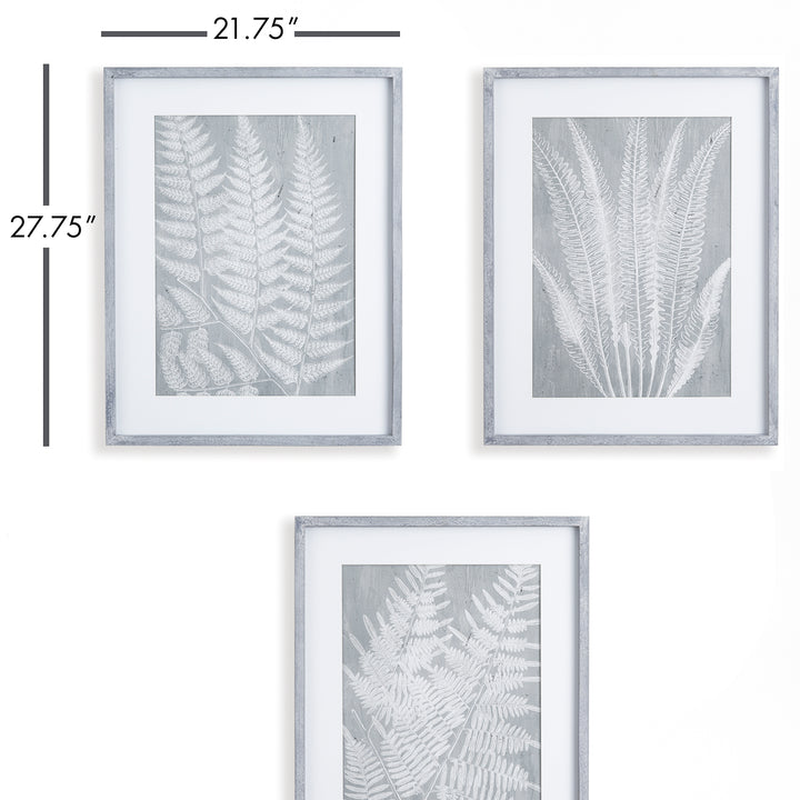 Fern Frond Wall Prints, Set Of 3