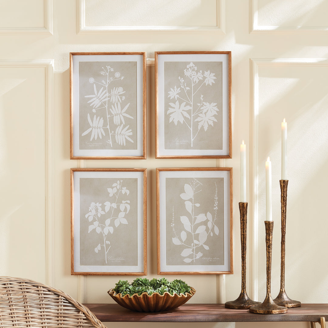 Foliage Study Wall Prints, Set Of 4