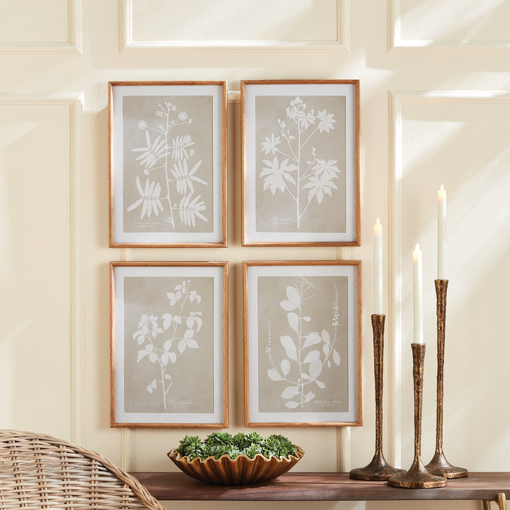 Foliage Study Wall Prints, Set Of 4