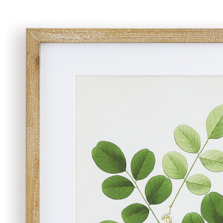 Tree Leaf Study Wall Prints, Set Of 6