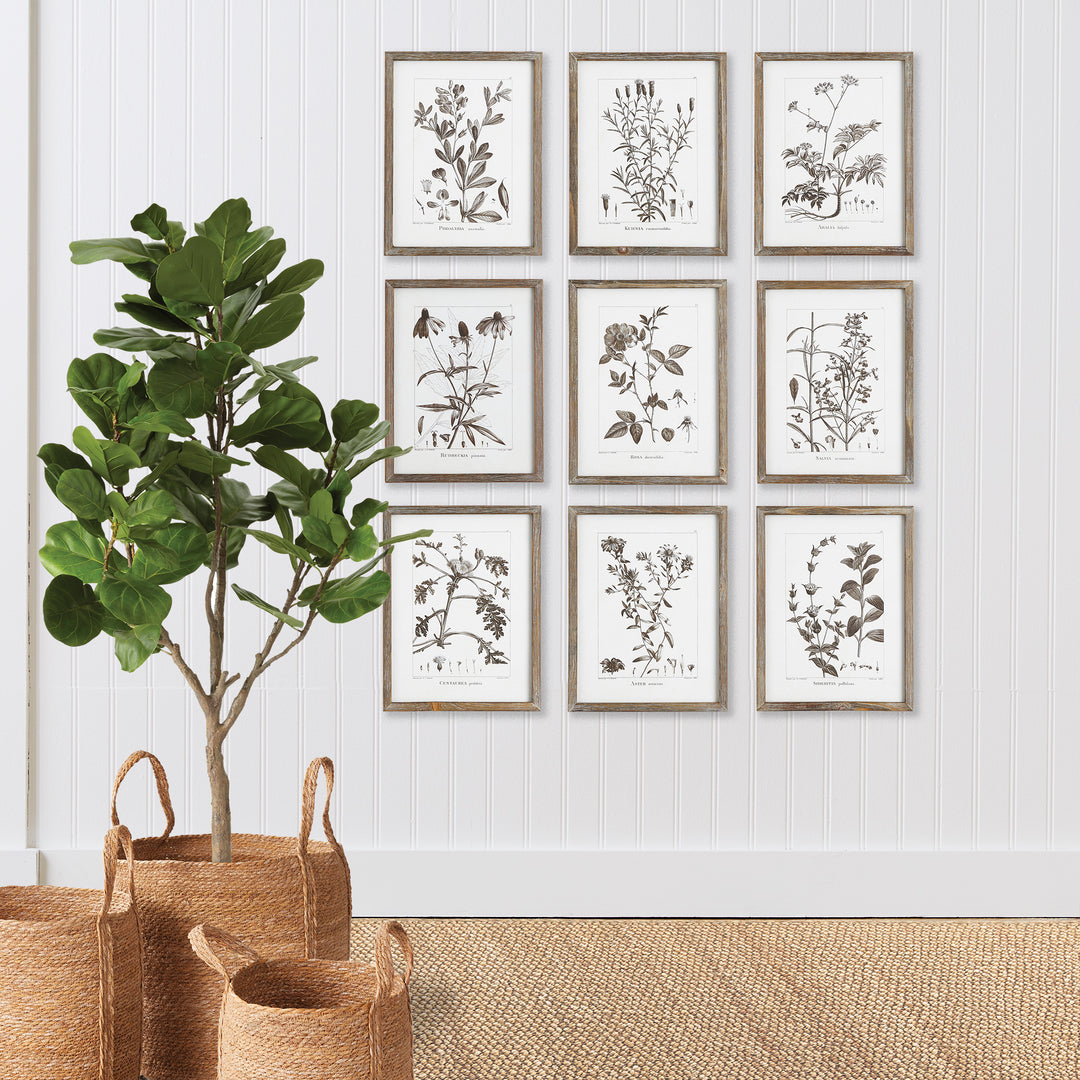 Rustic Foliage Study Wall Prints, Set Of 9