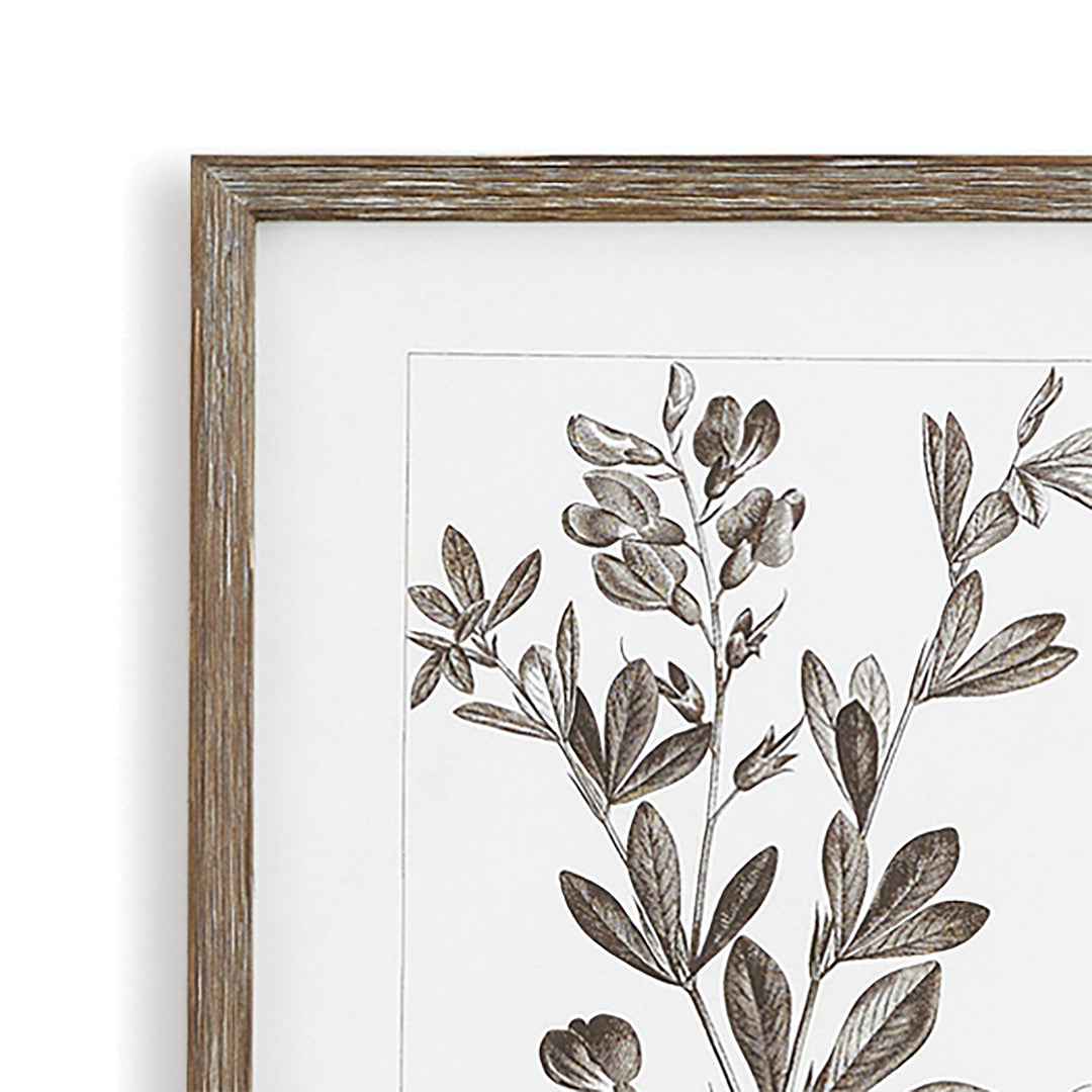 Rustic Foliage Study Wall Prints, Set Of 9