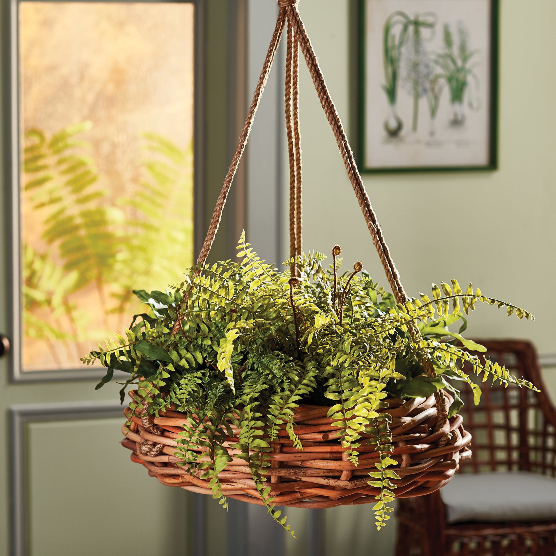 Rattan Hanging Planter Basket