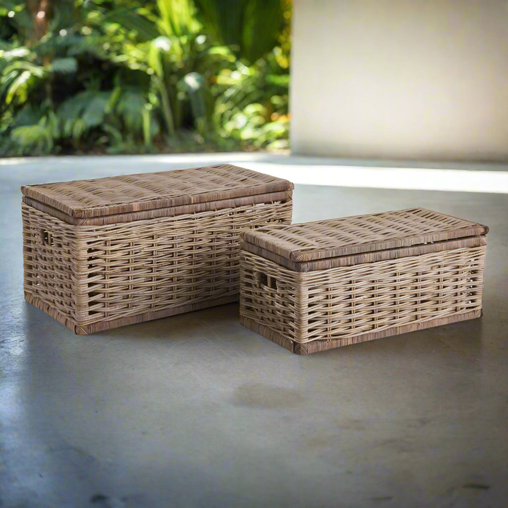 Sabad Dove Gray Rattan Storage Trunks, Set of 2