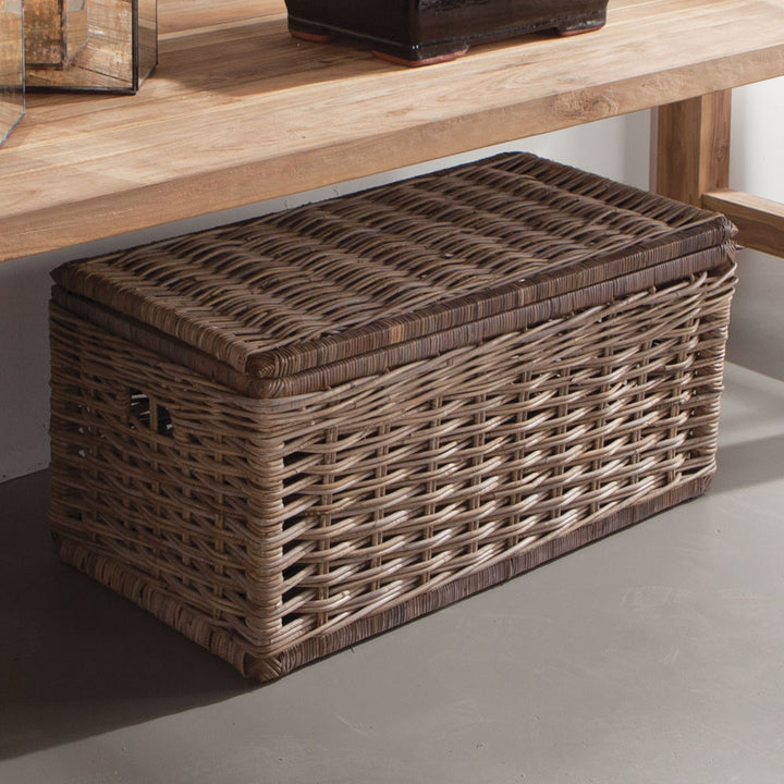 Sabad Dove Gray Rattan Storage Trunks, Set of 2