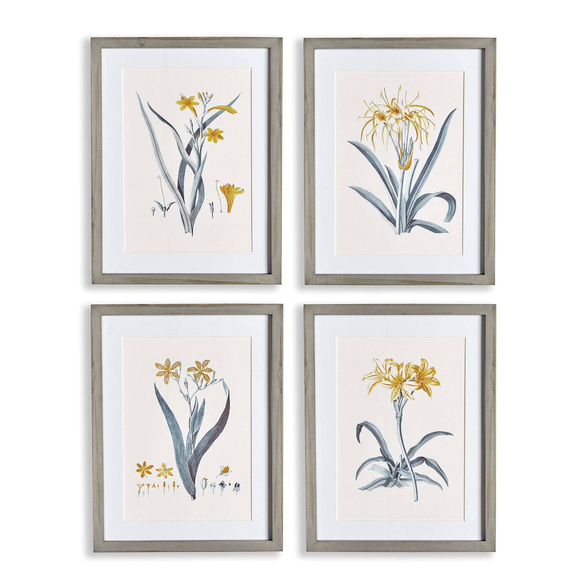 Every stage of the daffodil is represented here in subtle tones of yellow and grey blue. Finished off with real mats and simple grey pine wood frames, a great set for powder room, bedroom or home office.