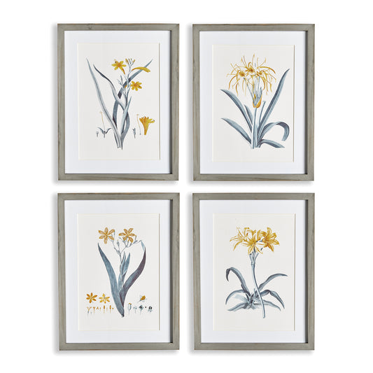 Every stage of the daffodil is represented here in subtle tones of yellow and grey blue. Finished off with real mats and simple grey pine wood frames, a great set for powder room, bedroom or home office.