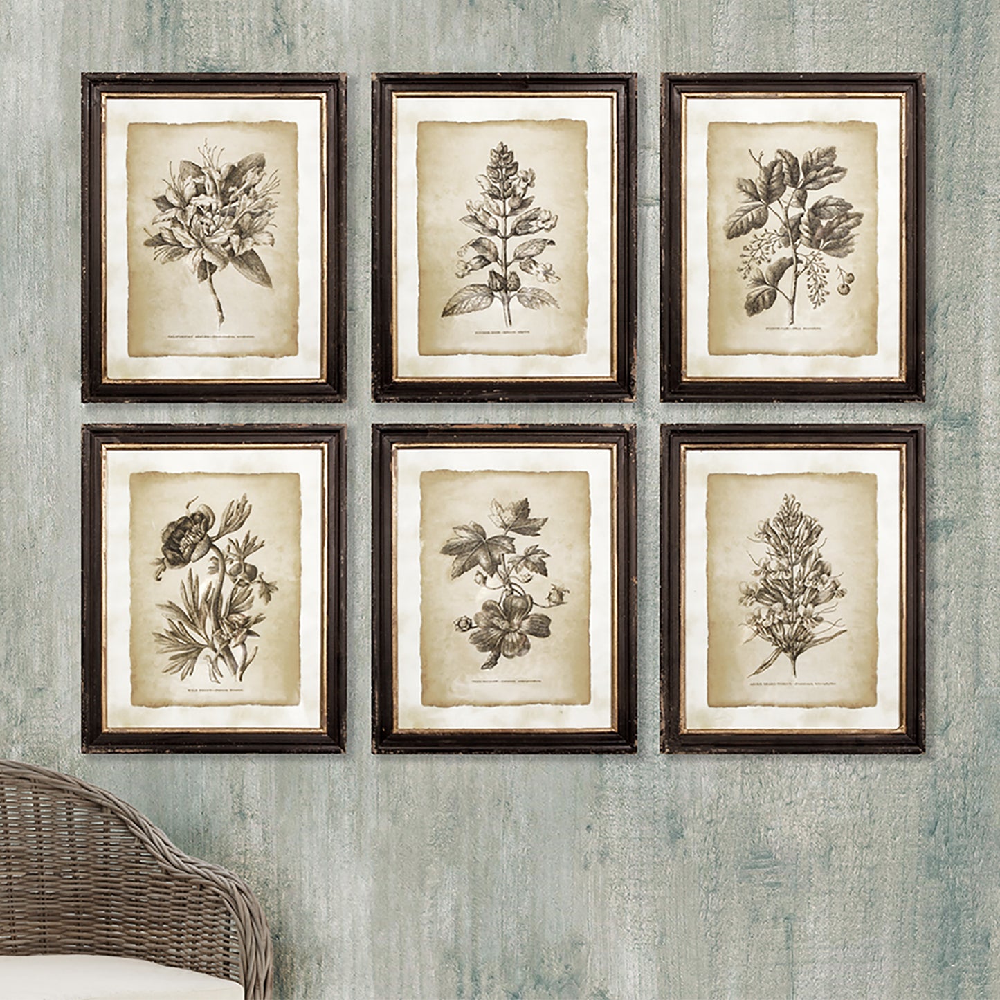 The dark, rich tones of these highly detailed illustrations creates a handsome, formal look. The distressed black and gold gilded accents of the frames also add a classic formality.