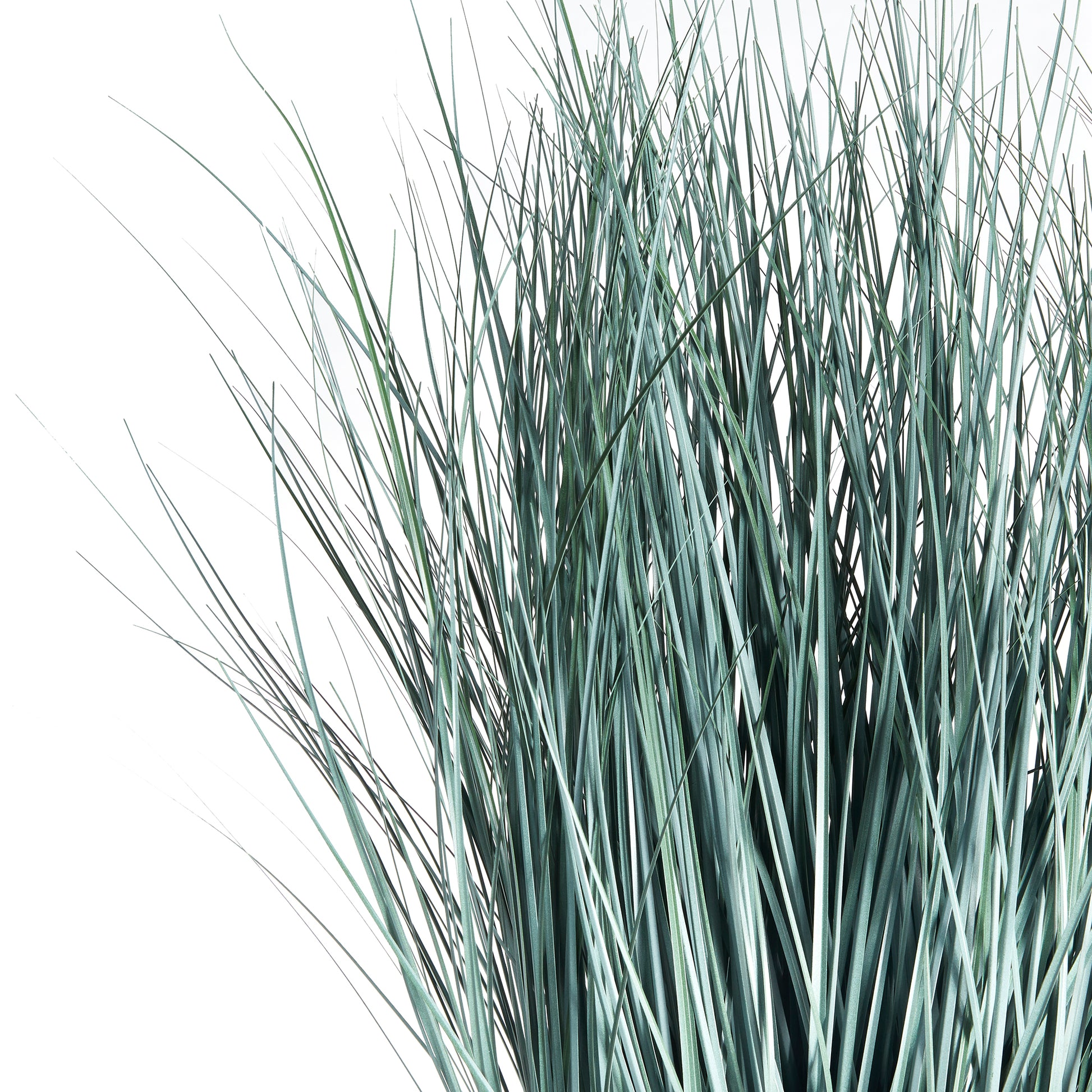 Made to look 100% realistic, this wispy blue oat grass is a natural touch. Drop in to your favorite pot or cachepot and add some coastal appeal to your space. Enhance your decor with natural, realistic botanicals. This blue oat grass adds a touch of coastal charm to any room.