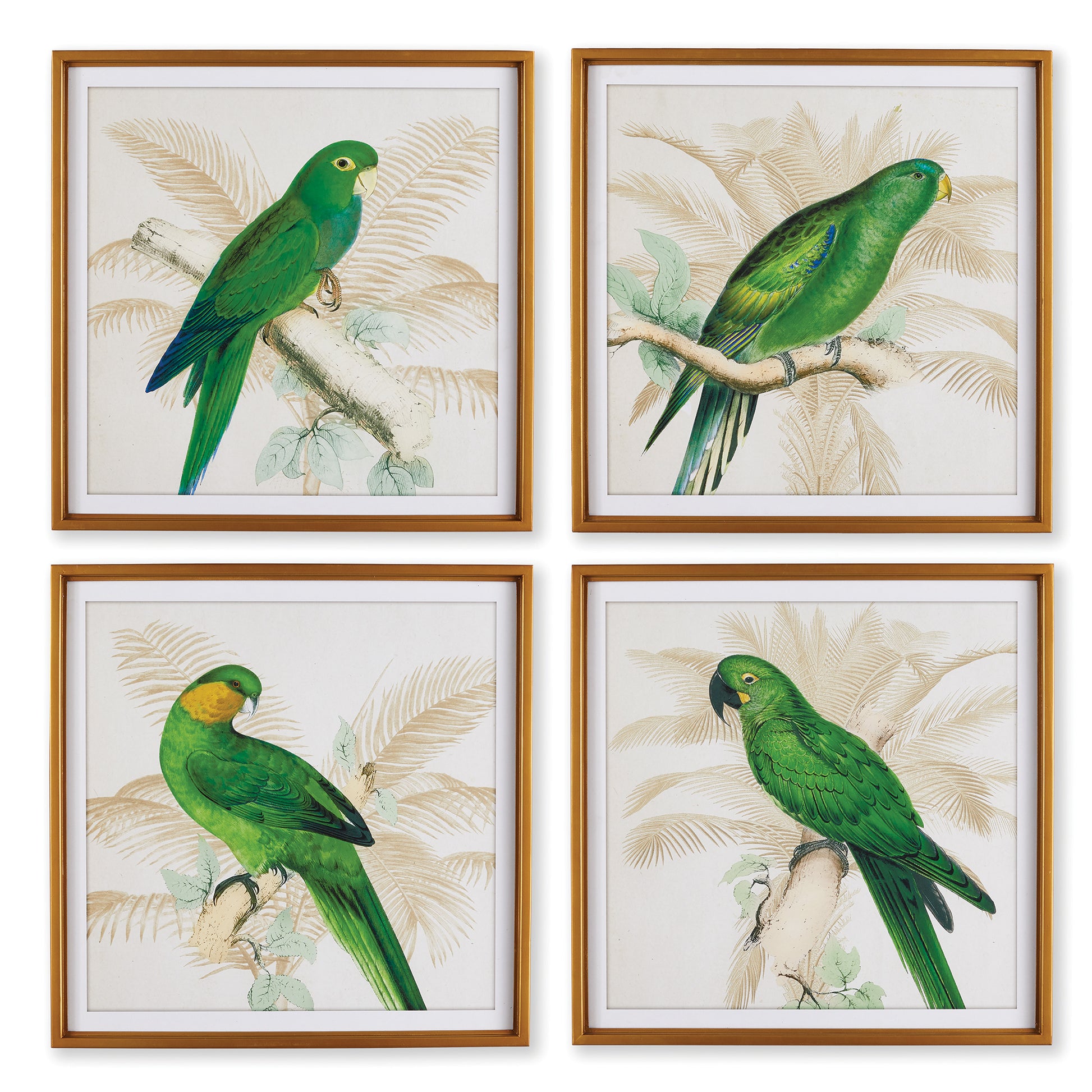 These Parrot prints are a pop of color for any space from bedroom to foyer. In a classic British Colonial style, they are made for the traditional Beach Cottage.