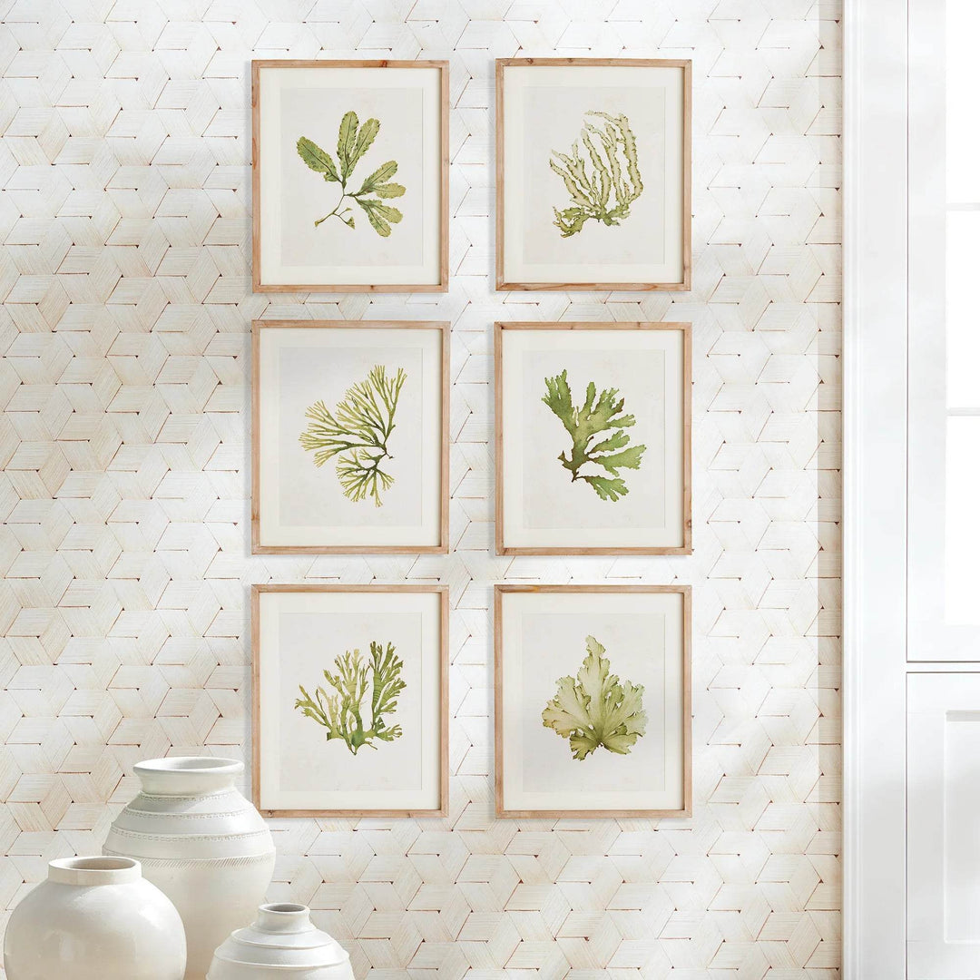 As refined in appearance as they are in size, these kelp wall prints embody the essence of sophisticated coastal living. With a delicate watercolor design and frames made of natural wood with a washed finish, these wall prints are perfect for any coastal themed home. 