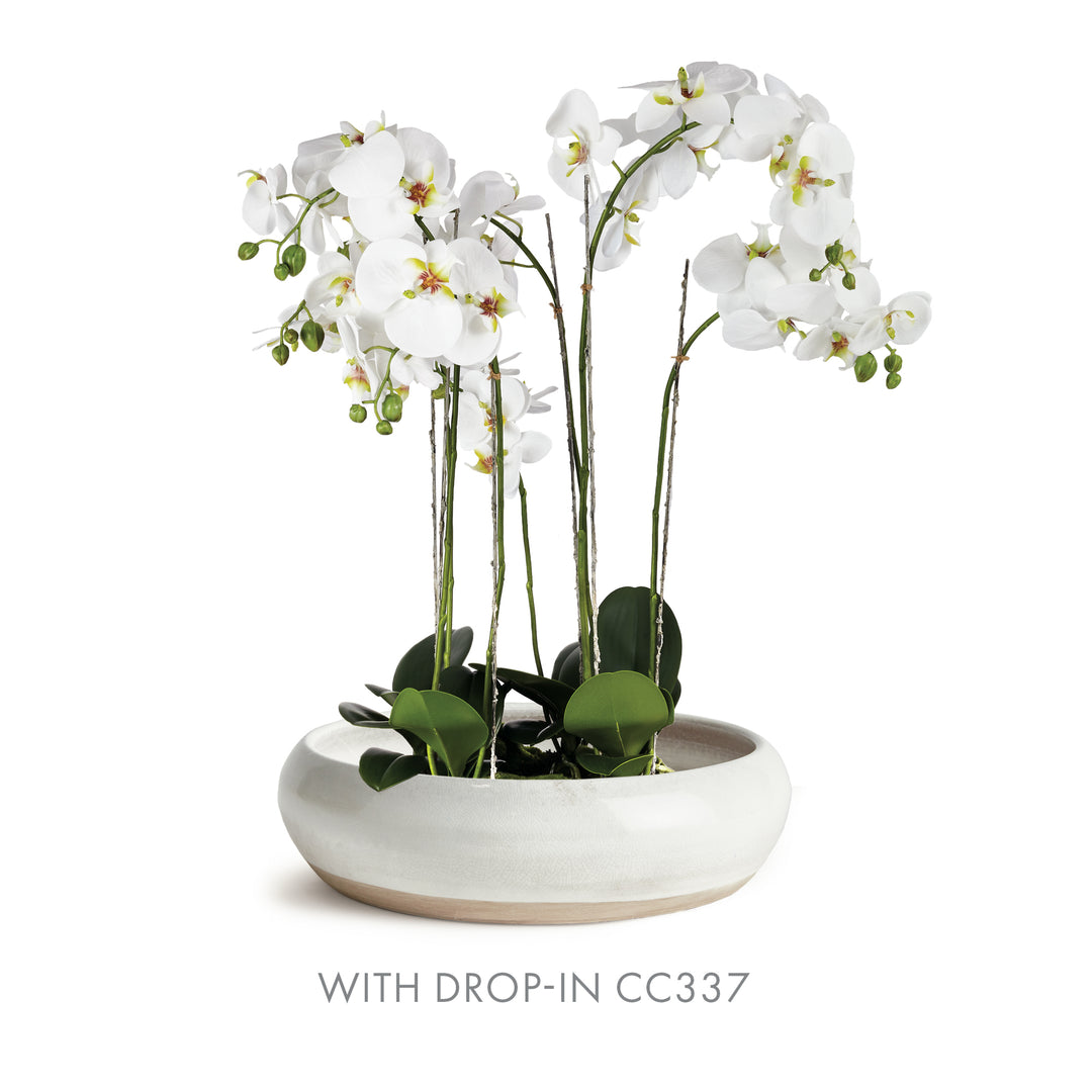 Alba white terracotta bowl with a tall white orchid drop-in and green leaves against a plain white background. Modern Organic