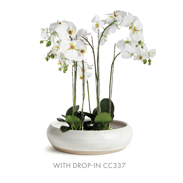 Alba white terracotta bowl with a tall white orchid drop-in and green leaves against a plain white background. Modern Organic