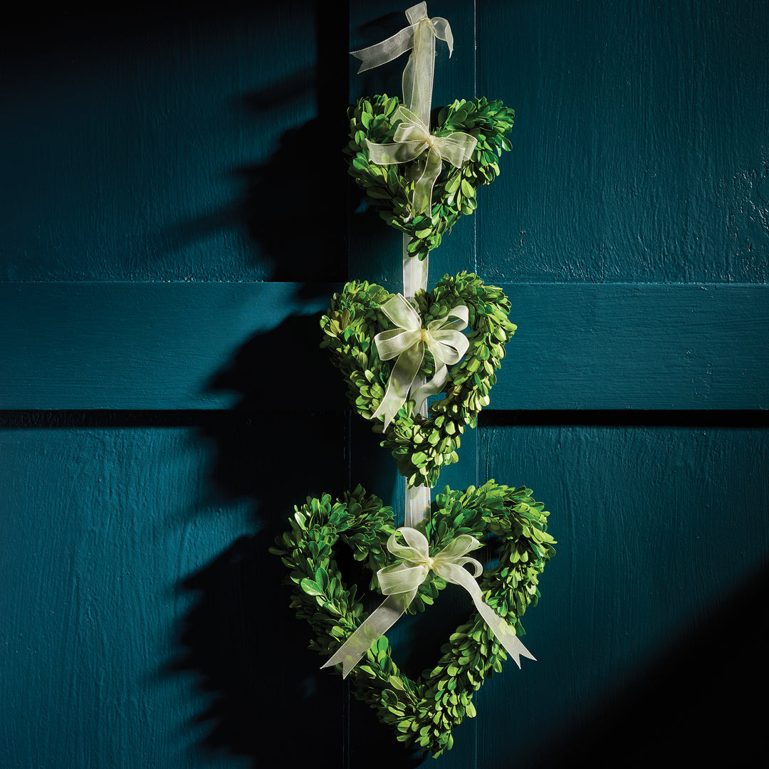Amity boxwood heart wreaths in three graduated sizes hanging vertically with pale ribbons against a dark door. Transitional
