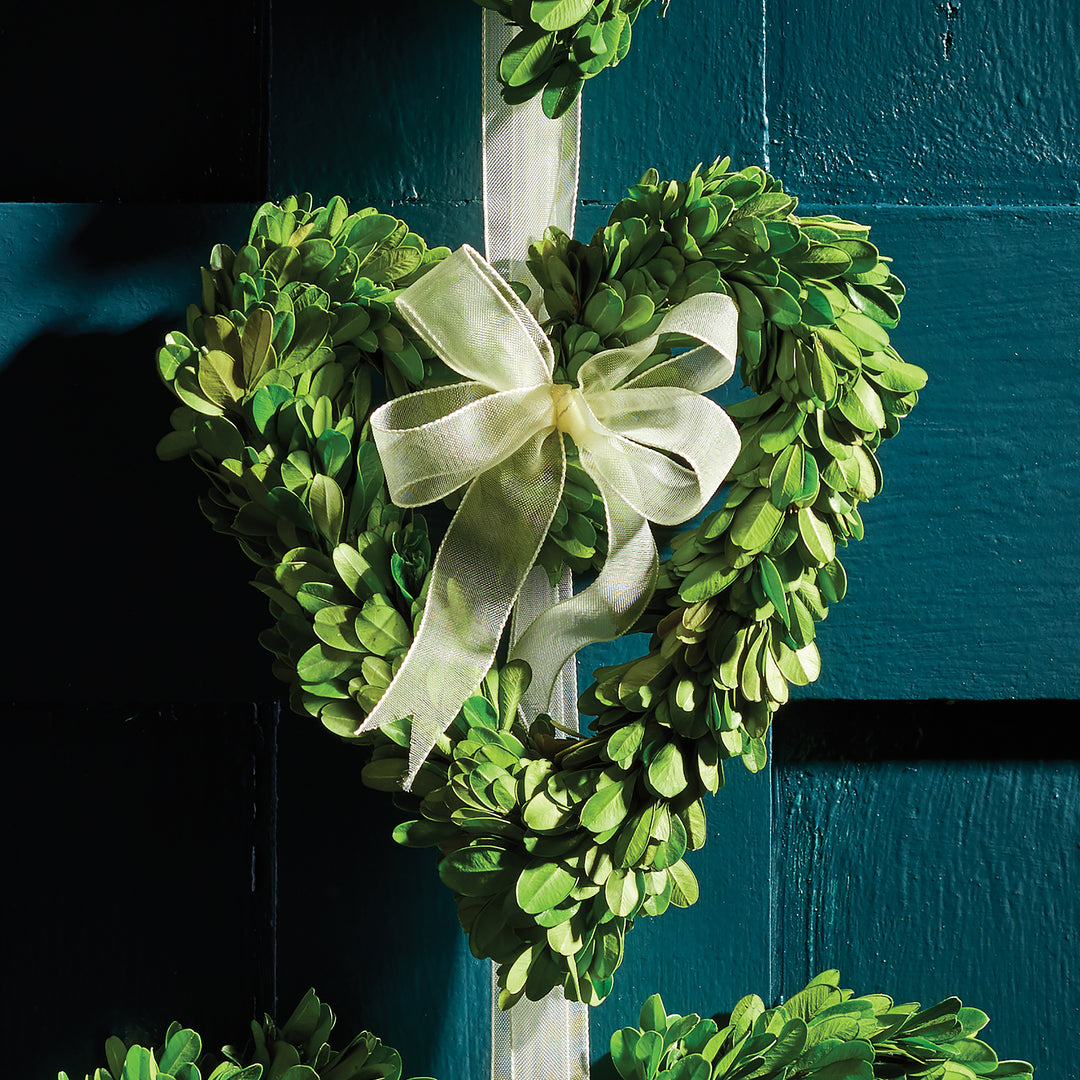 Close-up view of an Amity preserved boxwood heart wreath with a pale ribbon bow against a dark painted door. Transitional