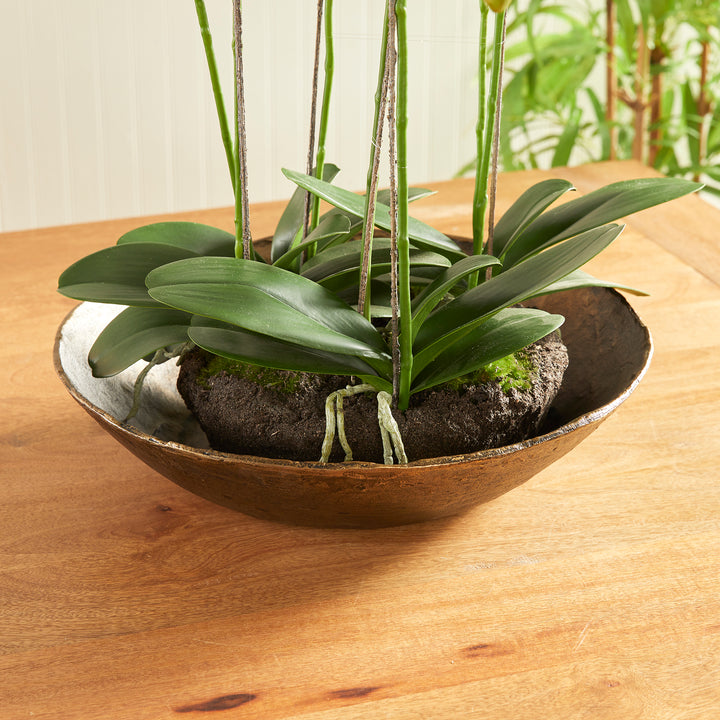 Close-up of antique brass decorative bowl holding white orchid stems with green leaves and moss on wood table, Modern Organic