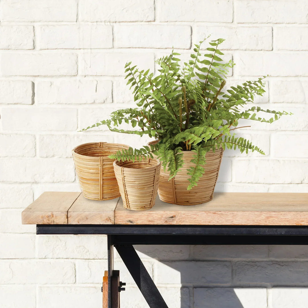 artificial fern plants indoor Artificial Boston Fern Drop In 12 Inch – Delamere Design