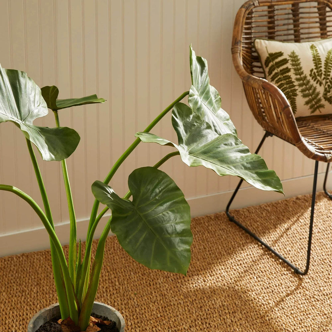 faux elephant ear plant Alocasia Potted 42"