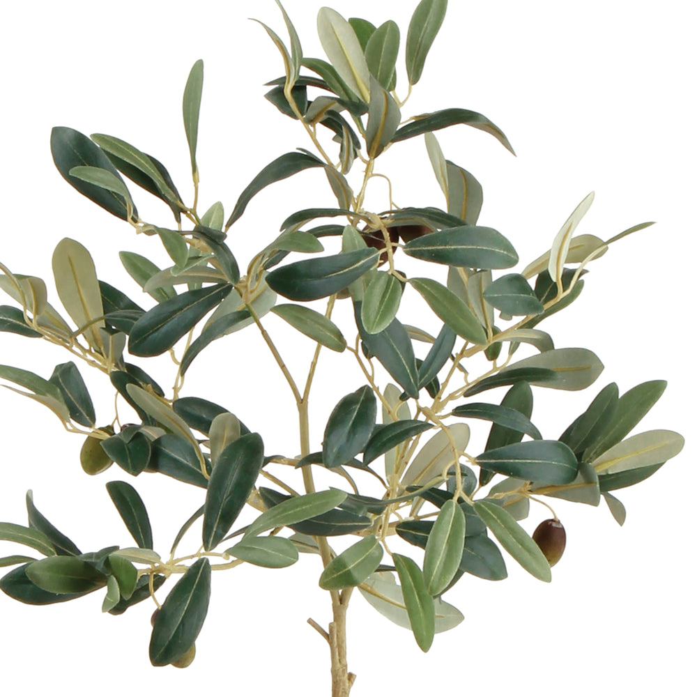 Close view of artificial olive foliage and dark fruit accents on branching stems against a white backdrop, Mediterranean