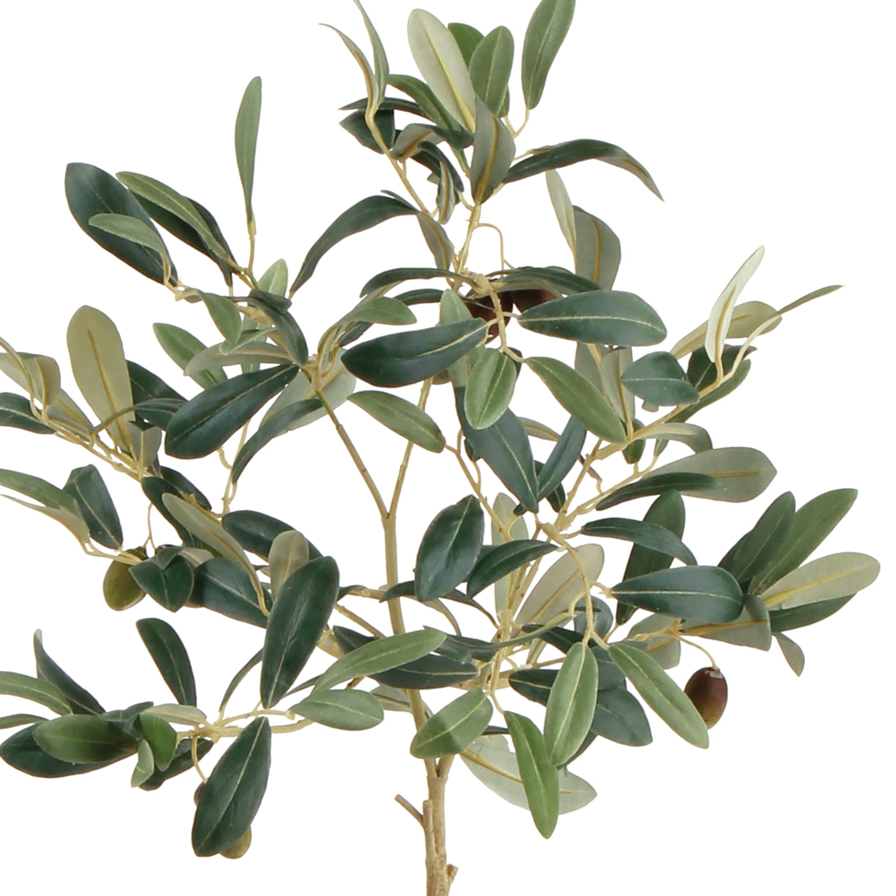 Artificial Olive Tree with Fruit | Potted 19.5-Inch Accent – Delamere ...