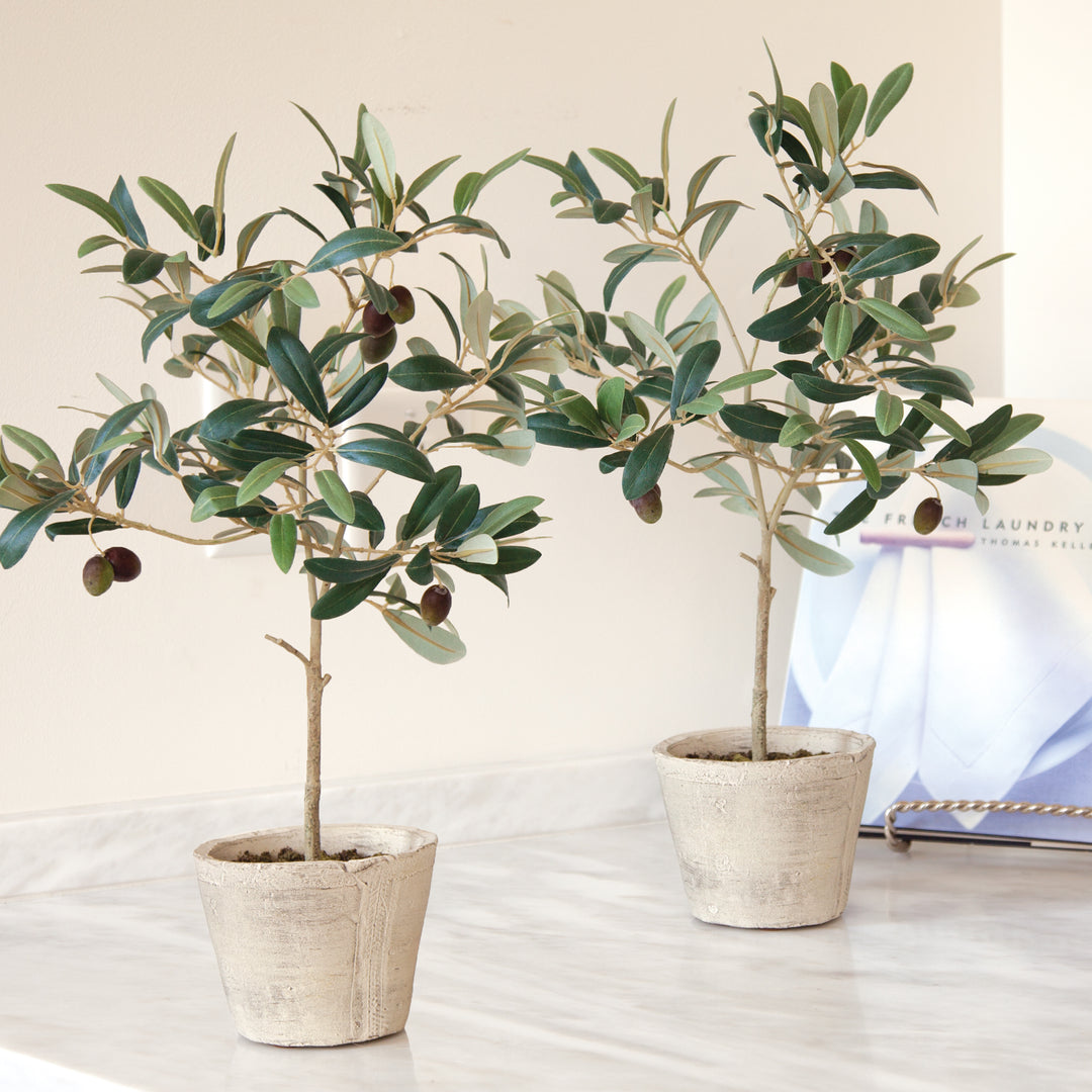 Two artificial olive trees with fruit in pale ceramic pots, styled together on an indoor tabletop by a frame, Mediterranean