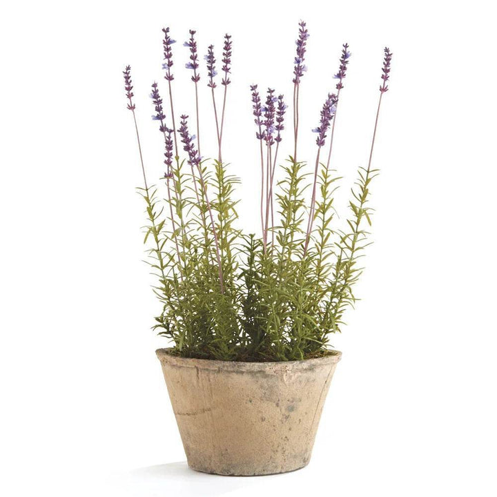 Artificial potted French lavender plant with realistic purple blooms and rustic pot, 21 inches tall for indoor decor and styling – French Country.

