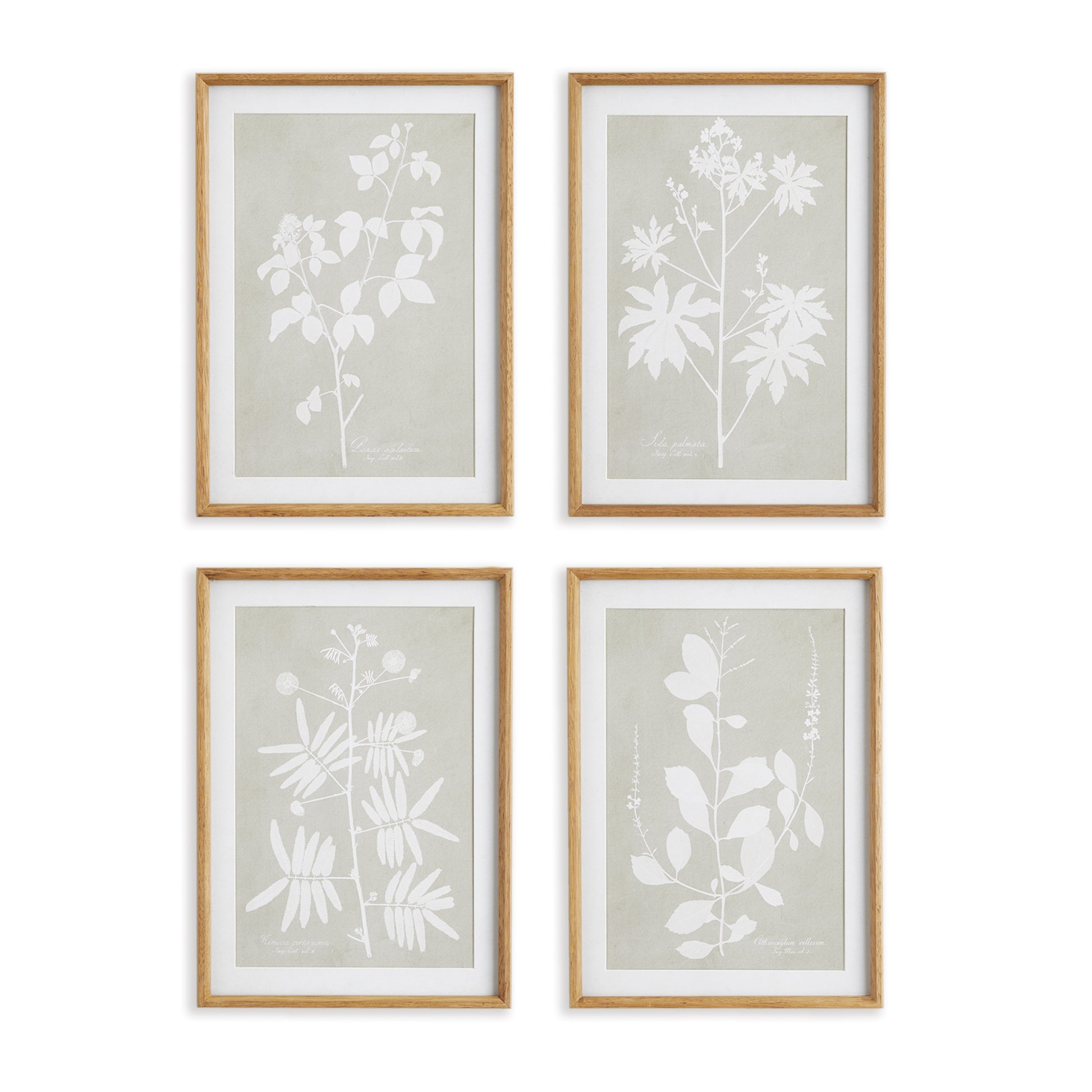 With a soft taupe background and silhouetted foliage forms, this simple composition of coordinating prints is a beautiful addition to any space. Finished off with beveled cardboard mats and warm wood frames, they are perfect for powder room, kitchen or den.