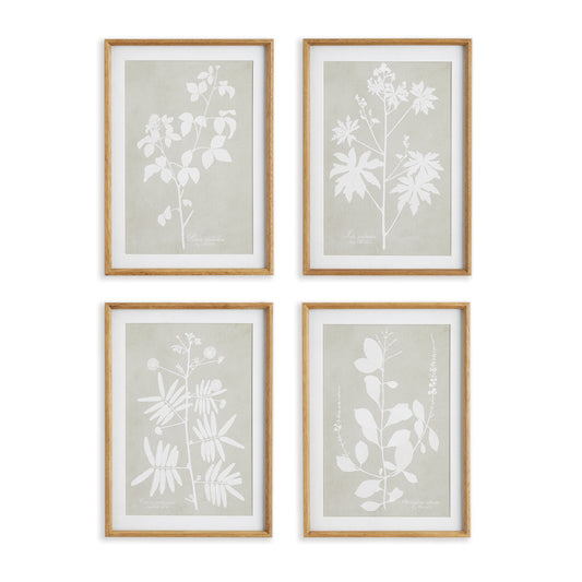 Foliage Study Wall Prints, Set Of 4