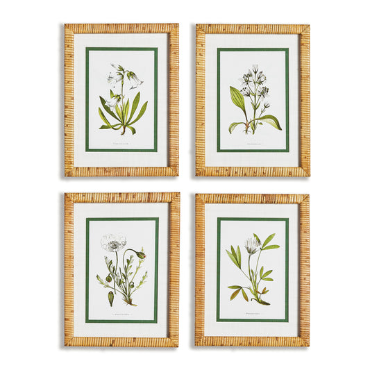 Four different types of florals all in white are rendered here in classical style. Finished with real mats and a bamboo-wrapped pine wood frame, a fitting set for study, powder room or bedroom.