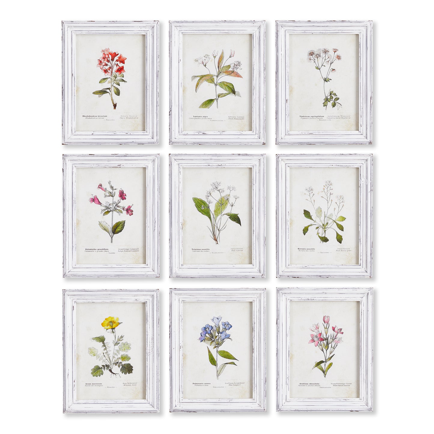 This bright & cheerful collection is inspired by a garden meadow. With a plethora of wild flowers in multi hues, it adds a touch of nature to your space.