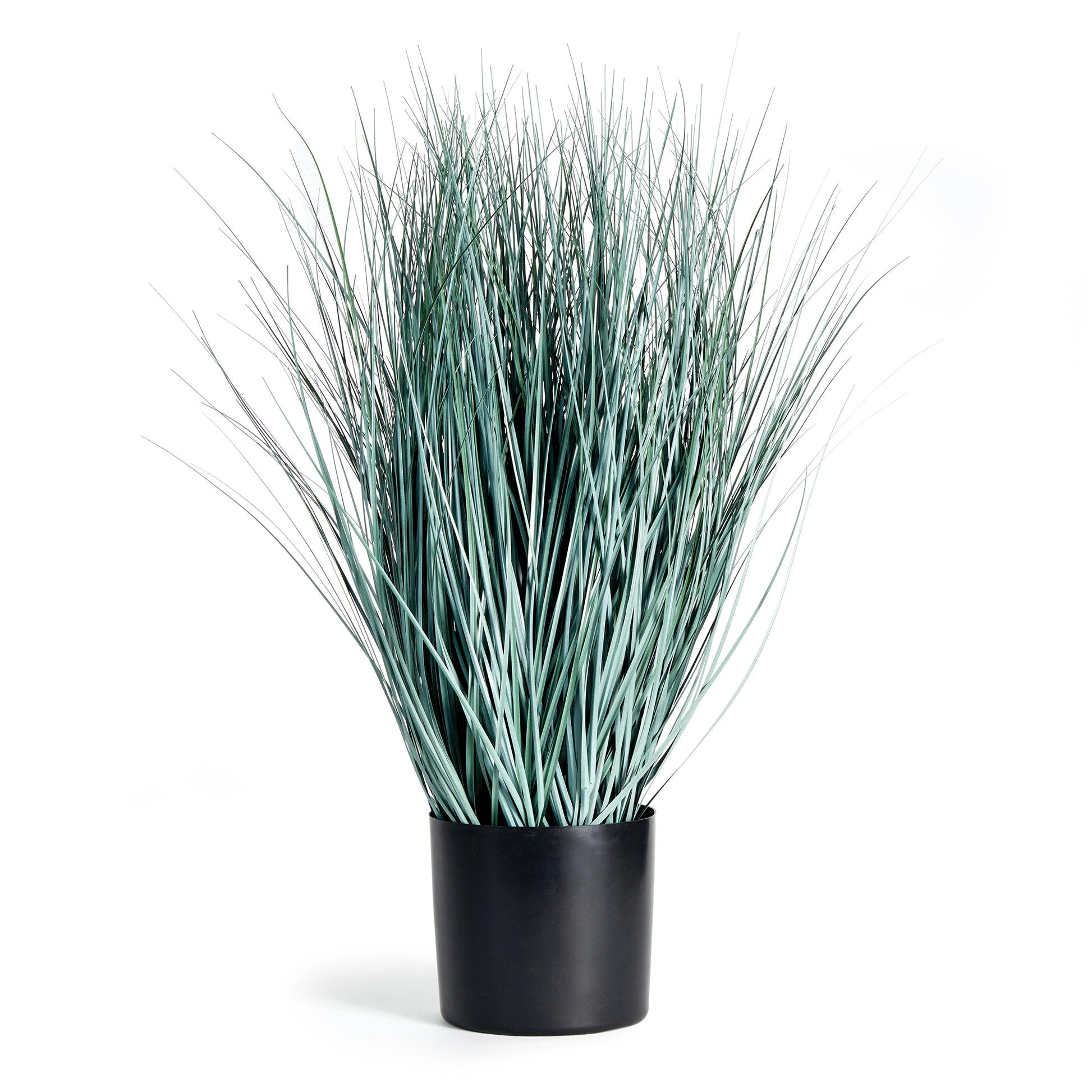 Made to look 100% realistic, this wispy blue oat grass is a natural touch. Drop in to your favorite pot or cachepot and add some coastal appeal to your space. Enhance your decor with natural, realistic botanicals. This blue oat grass adds a touch of coastal charm to any room.