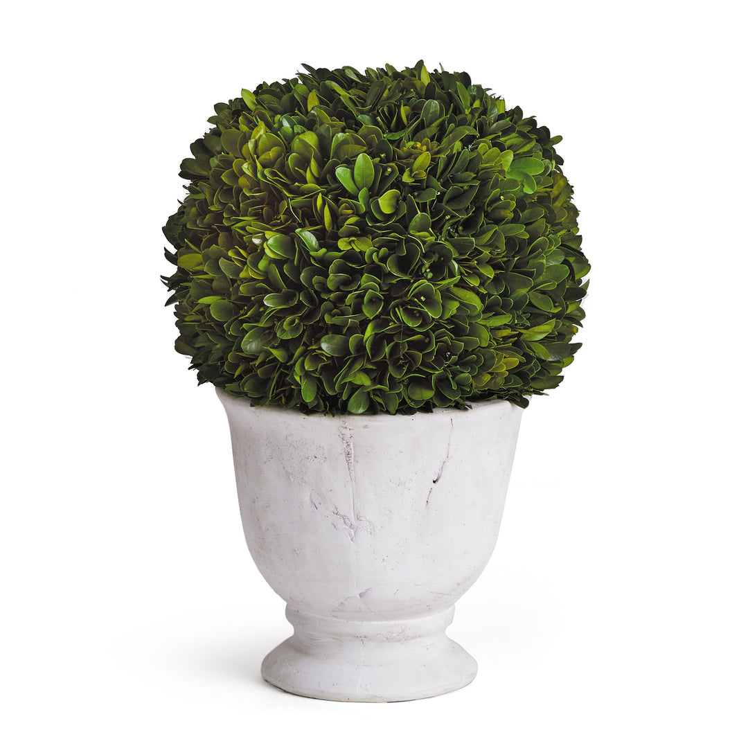 Boxwood Ball Topiary In Planter Pot Large