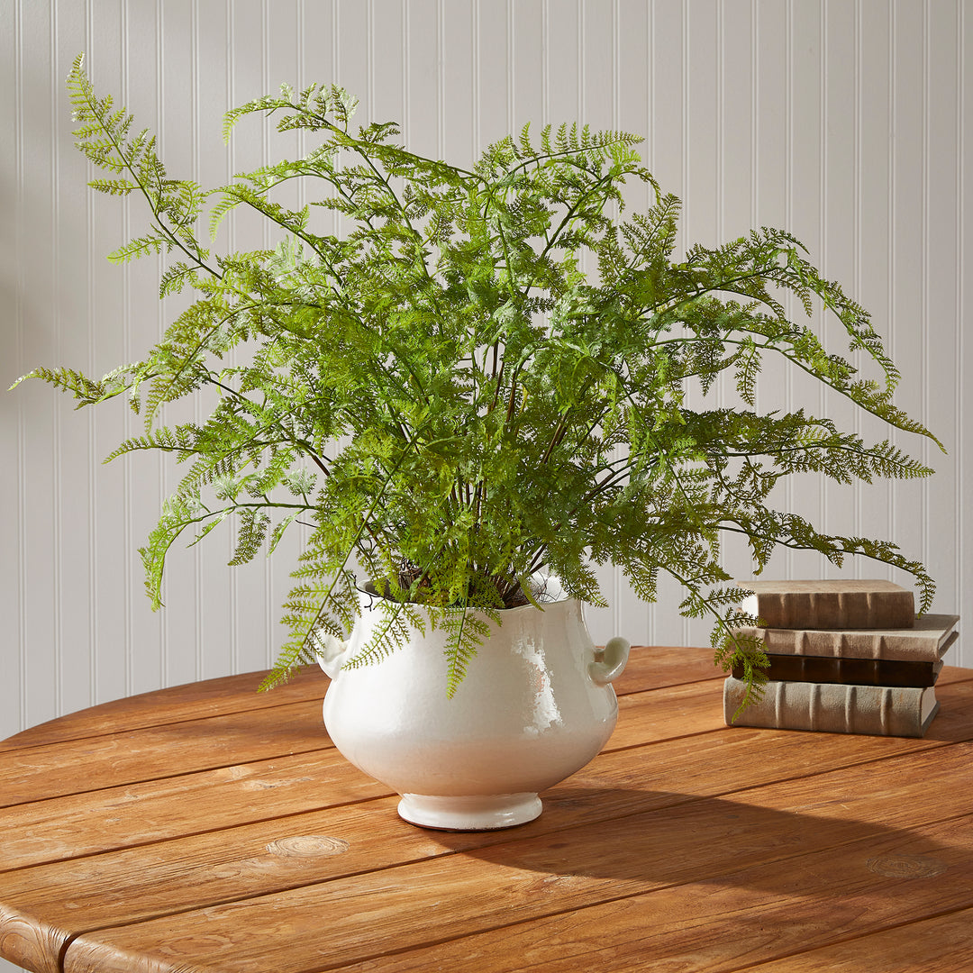 100% realistic- a perfect copy of your favorite fern. This drop-in is a no-hassle work of art. Right down to the carefully crafted root ball, just as nature designed.