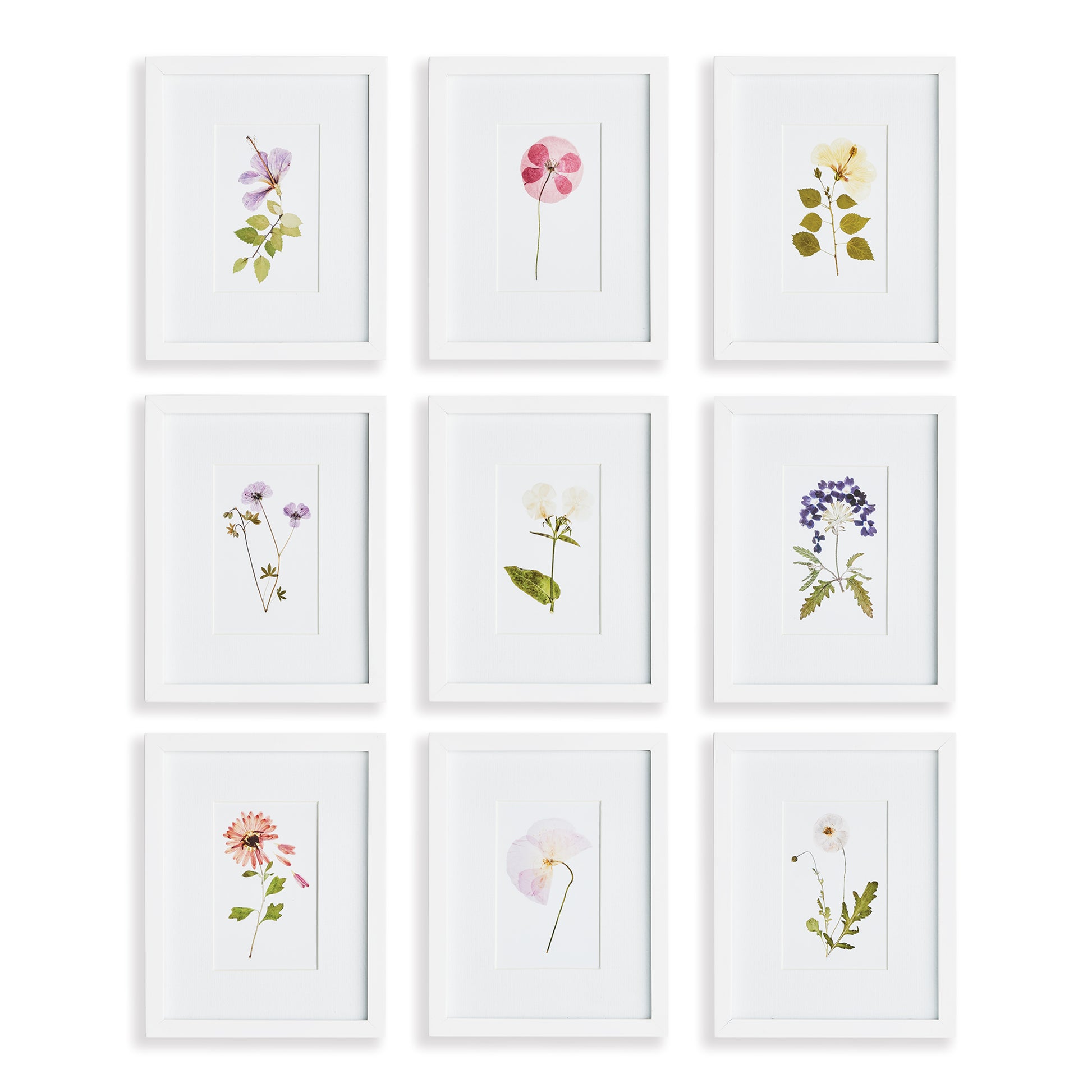 These petite pressed mountain flower prints are a versatile set. Finished with a simple white frame, they work beautifully as a set, but can also be separated and tucked in among books on a bookshelf, or hung in sets of 2 or 3 for a powder room or narrow hallway.