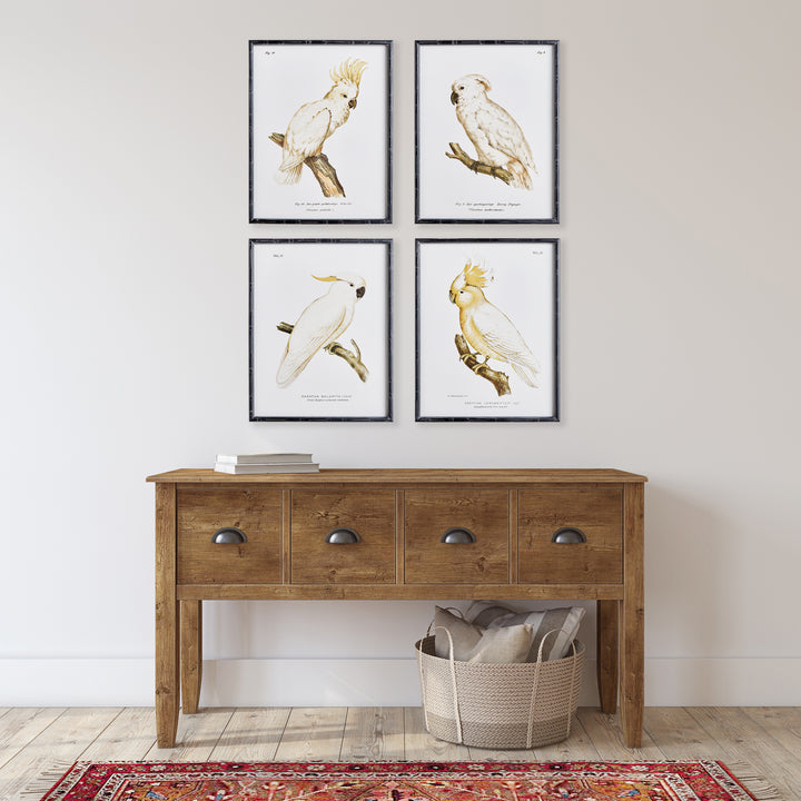 These timeless parrot prints feature a neutral palette with a classic British Colonial style that will elevate any coastal or traditional home. Their expert design is perfect for adding a touch of natural beauty to any space. This set of 4 wall prints will surely enhance the look of your home.