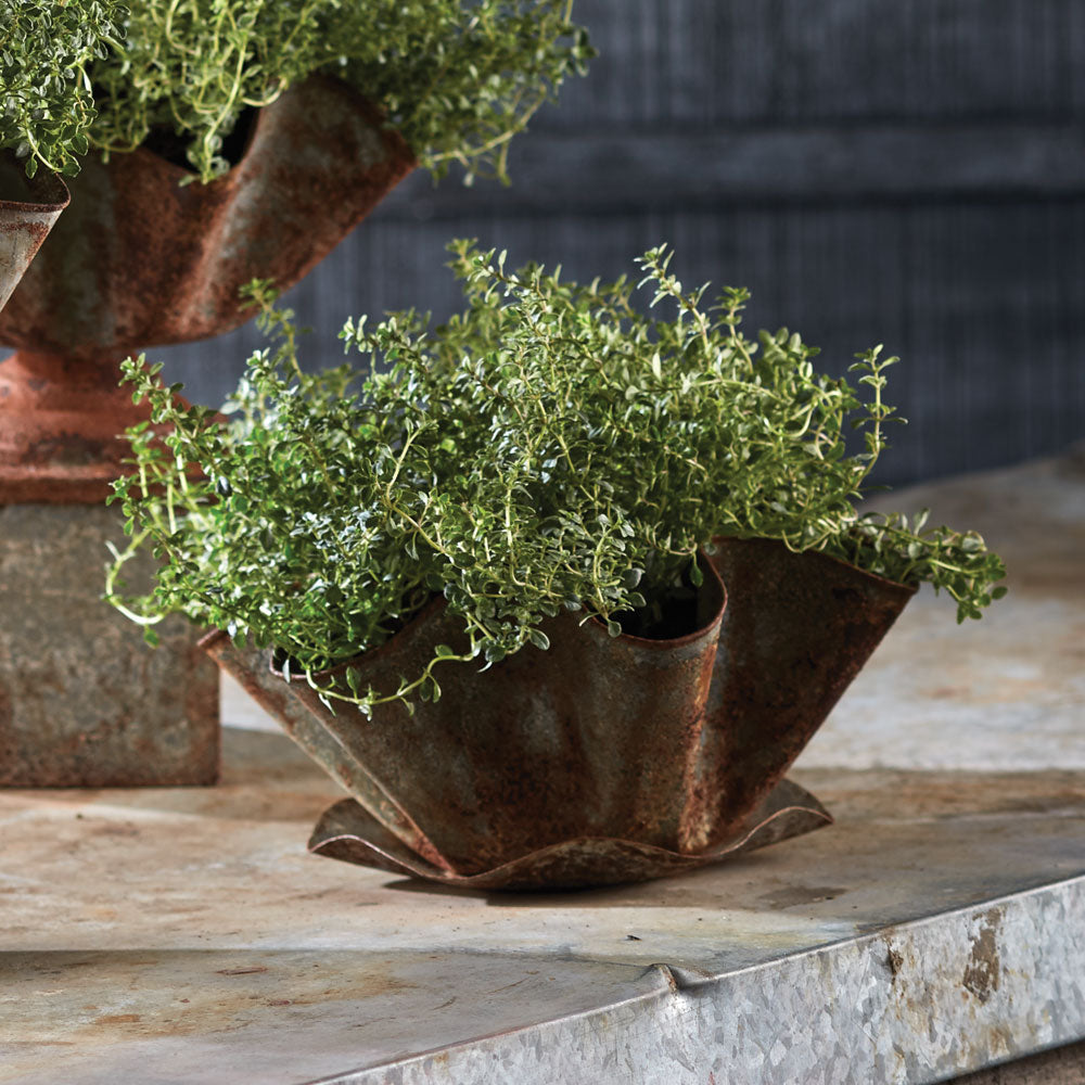 Bexley weathered iron cachepot holding green foliage on a stone ledge, showing its folded rim and saucer. Rustic Farmhouse
