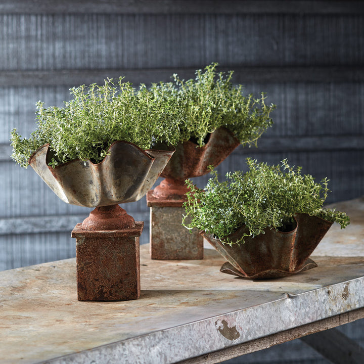 Bexley low ruffled iron cachepot with greenery beside raised coordinating vessels on a stone ledge indoors. Rustic Farmhouse