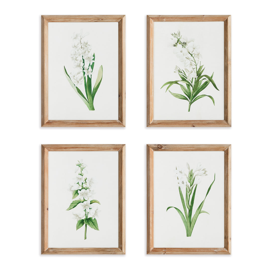 Garden Bloom Wall Prints, Set Of 4