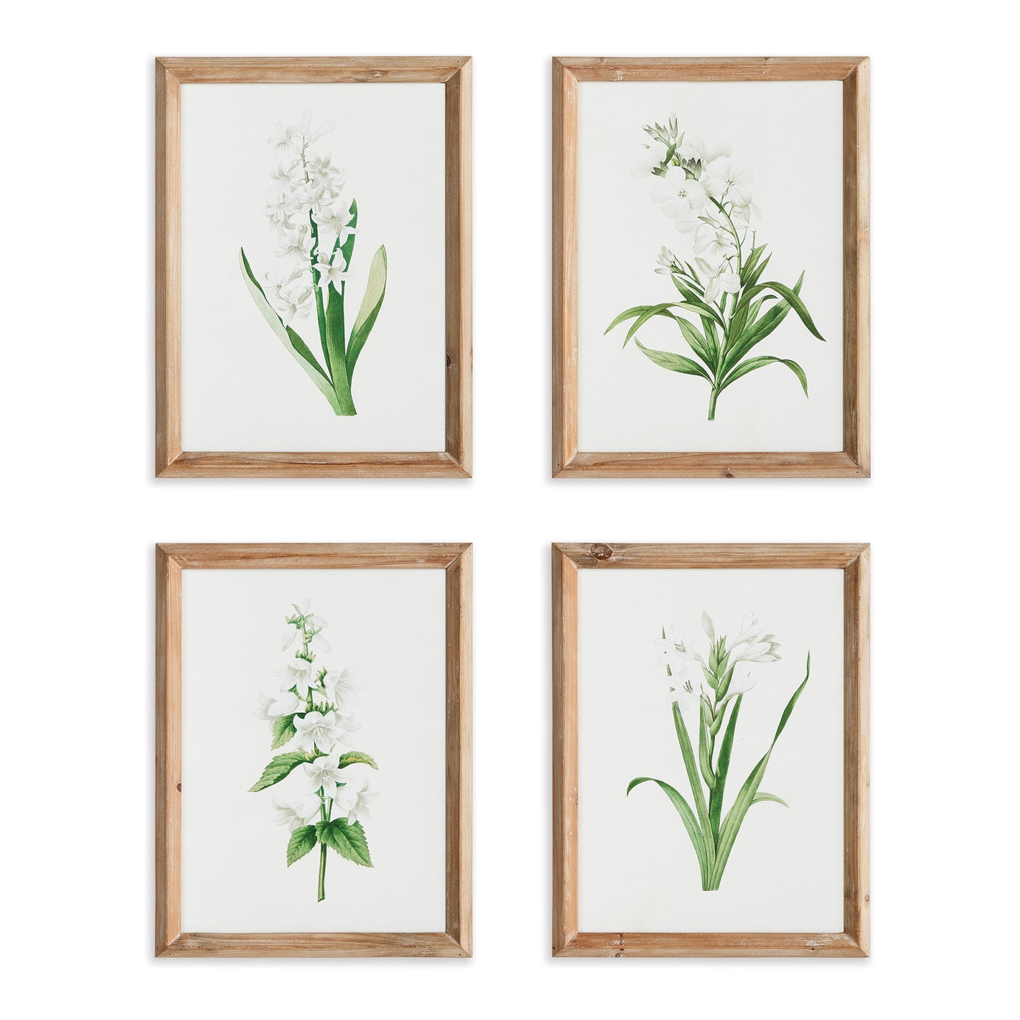 An homage to the darling little paperwhite, this set of prints is charming indeed. Hang together or break up for smaller vignettes. With a simple white wood frame, it makes a lovely accent for bedroom or powder room.