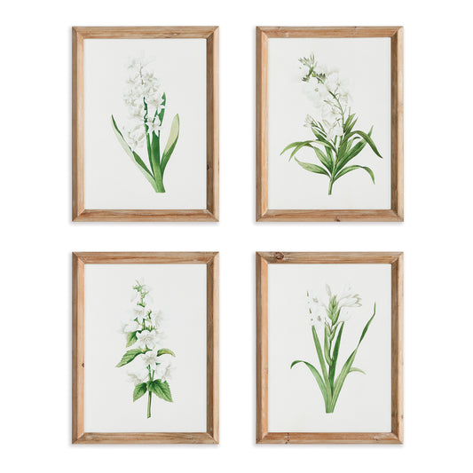 Garden Bloom Wall Prints, Set Of 4