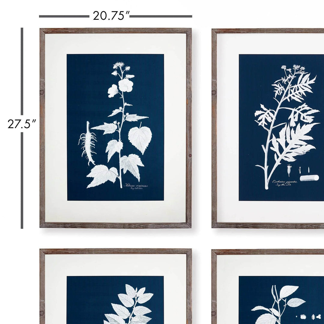 Framed blue botanical wall prints with measurement overlay, showing each print at 20.75 by 27.5 inches.

