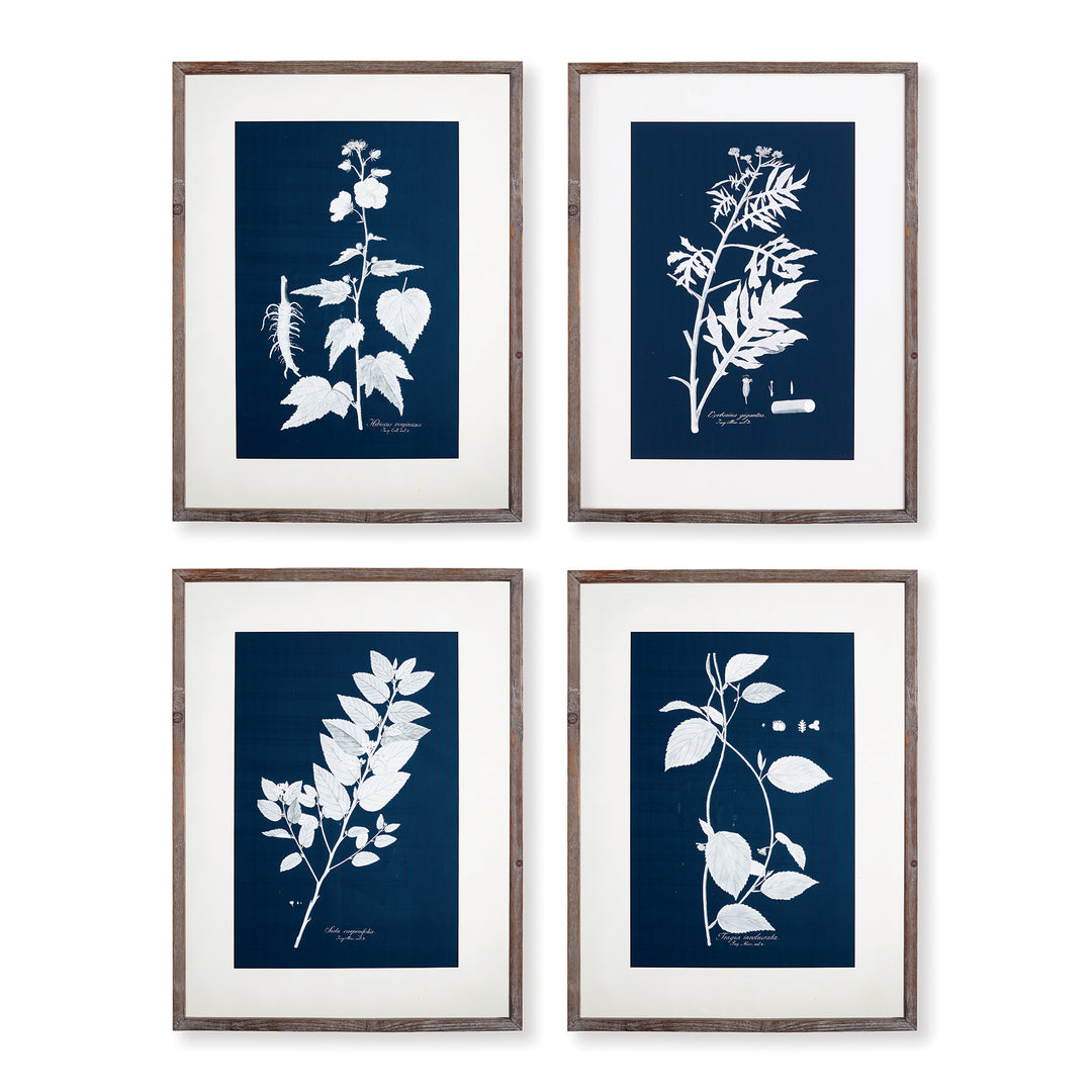 Framed blue botanical wall art set of four, displayed in a gallery layout with white mats and rustic wood frames.

