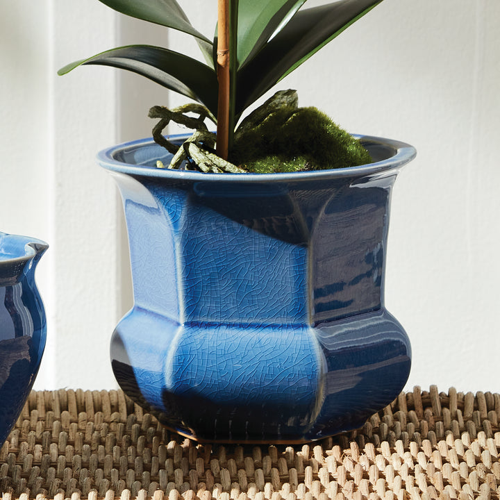 Blue reactive glaze ceramic planter with orchid foliage, styled on a pale woven surface beside a bright window, Traditional