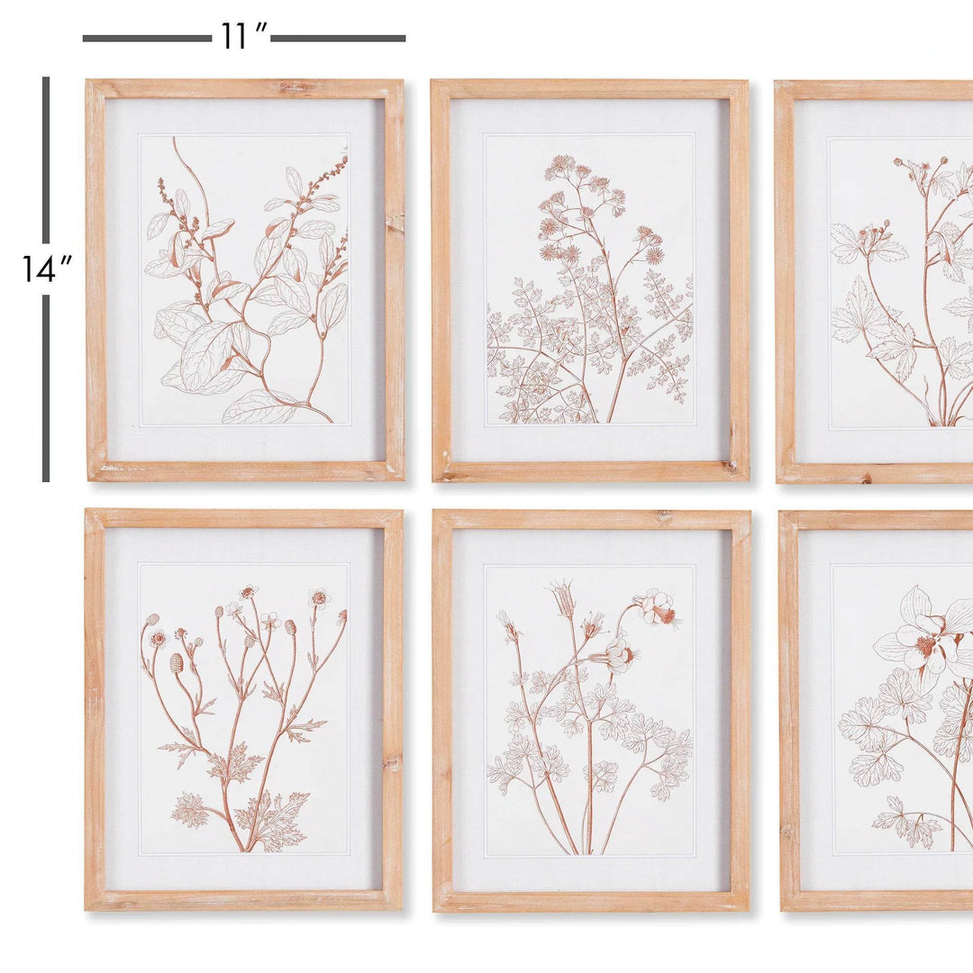 Blush botanical wall art set of 6 with natural wood frames and dimension overlay