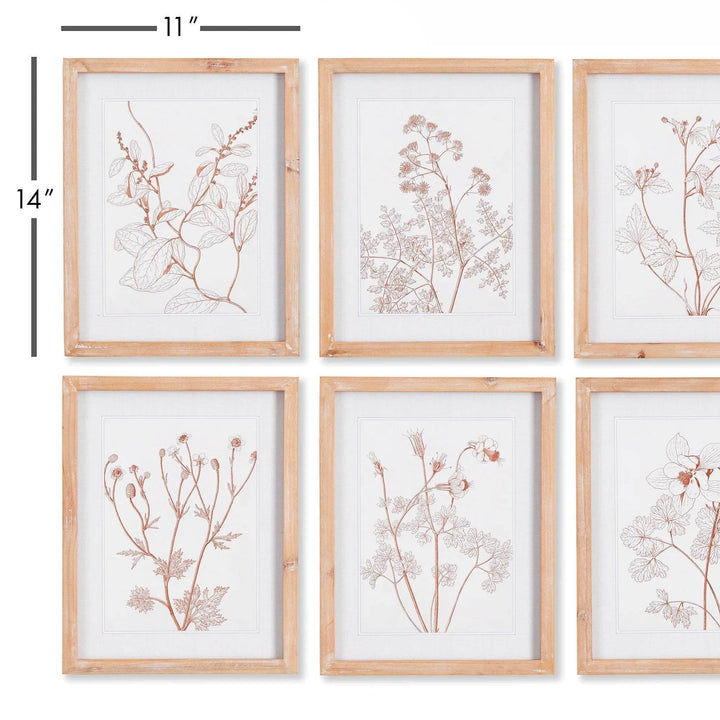 Blush botanical wall art set of 6 with natural wood frames and dimension overlay