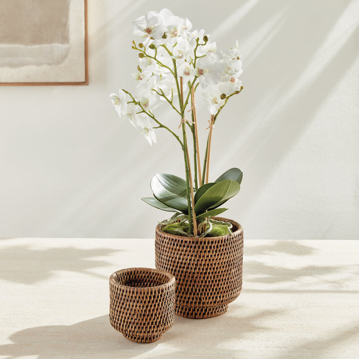 Brown rattan cachepot set on a pale table, with a white orchid arrangement rising from the larger pot - Coastal Transitional