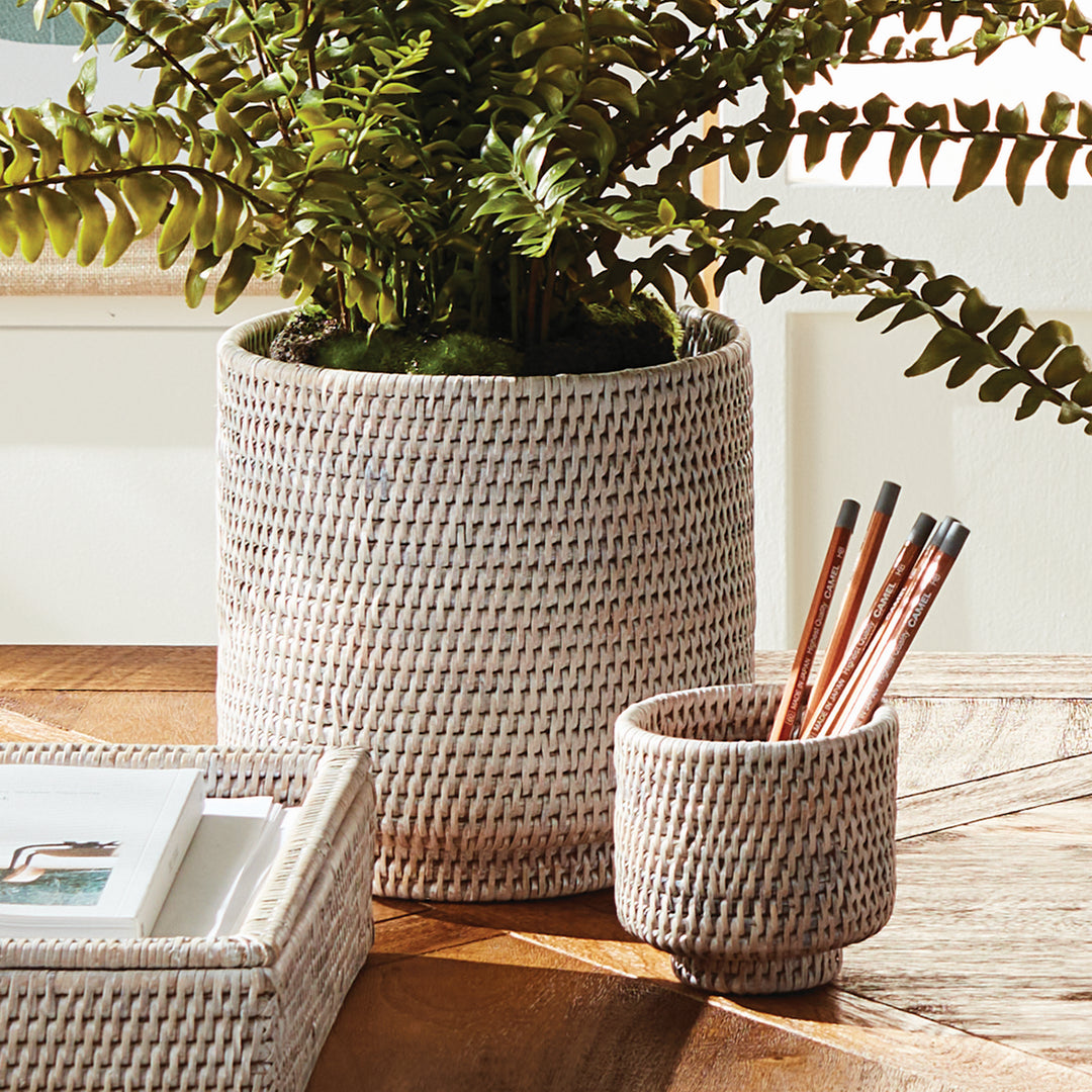 Whitewash rattan cachepots on a wooden desk, with a fern in one pot and pencils in the smaller pot - Coastal Transitional